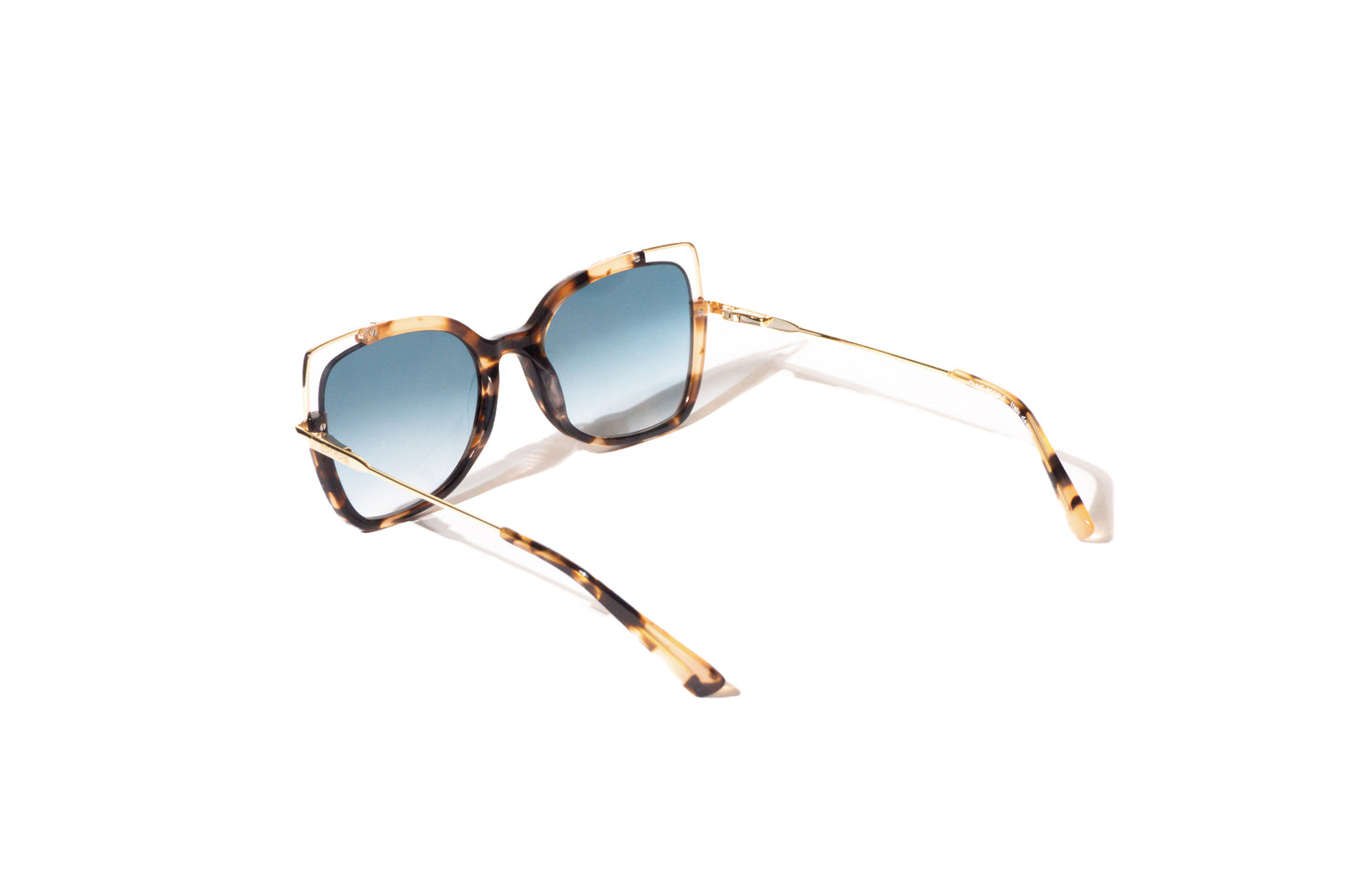 Lentes Estilo Cat Eye Grandes : Olive People Limited Edition
