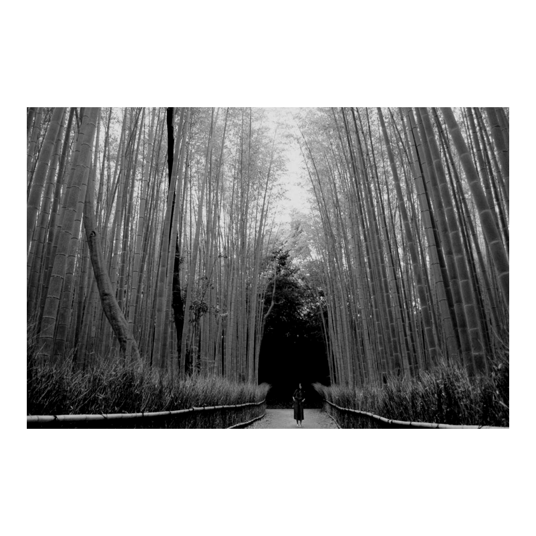 ARASHIYAMA Negro Con Plateado: Lentes de Sol Binoqular